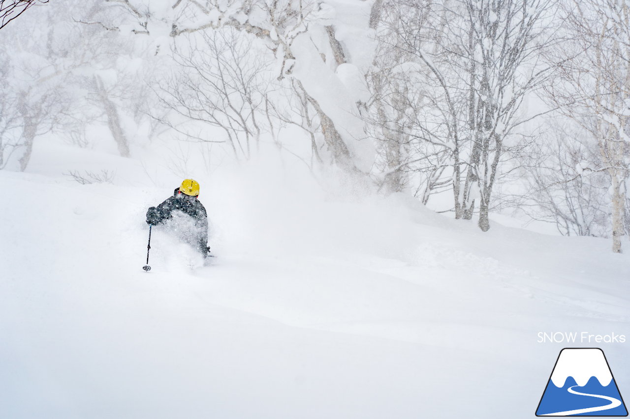 ニセコ東急グラン・ヒラフ｜積雪400cm！ニセコの『PowderSnow』を味わい尽くす、贅沢な時間♪